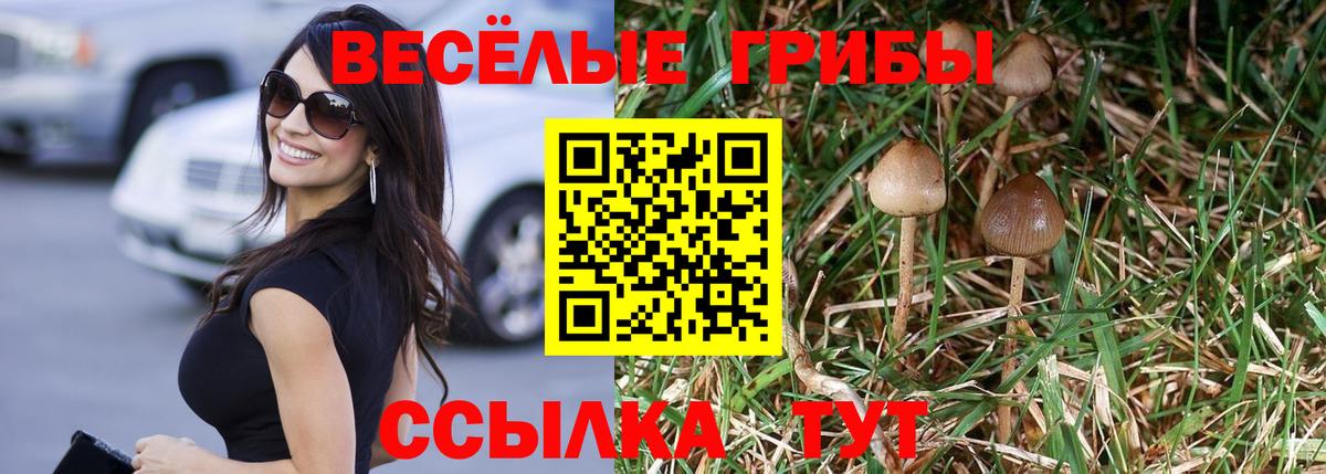 Псилоцибиновые грибы мухоморы  Вход с VPN  Галлюциногенные грибы Magic Shrooms  Азнакаево 